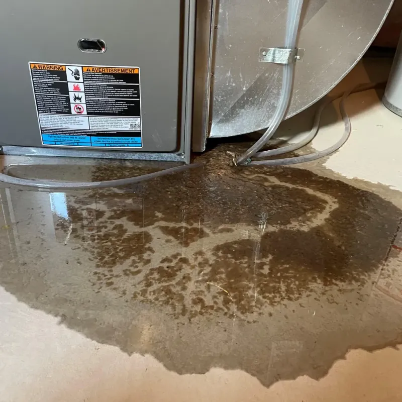 Appliance Leak Cleanup in Agua Dulce, CA